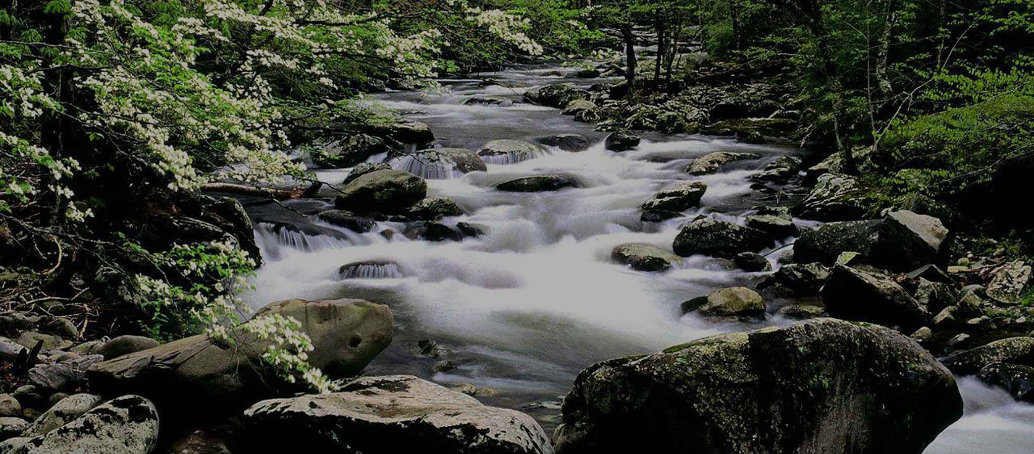 GOLD RUSH COMMUNITY OF PENN VALLEY